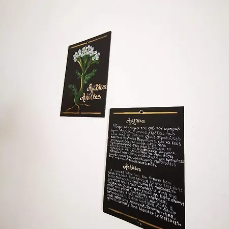 Apart Otel Aspro Spiti 2*