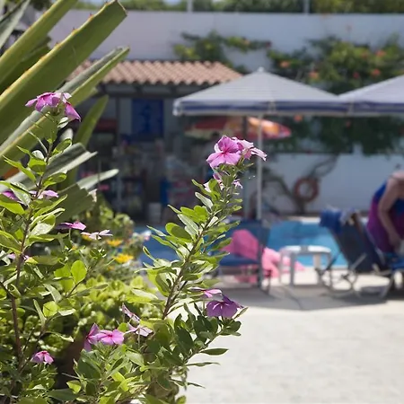 아파트호텔 Aspro Spiti 2*