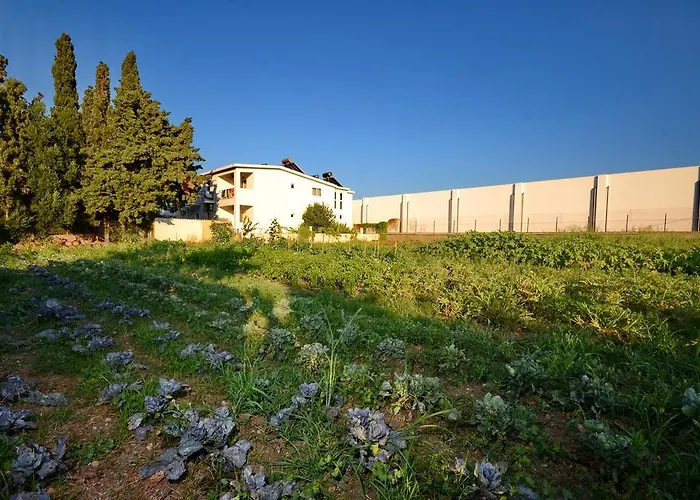 Aspro Spiti Aparthotel Tigkaki (Kos)