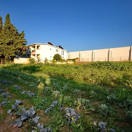 Aspro Spiti Aparthotel Tigaki